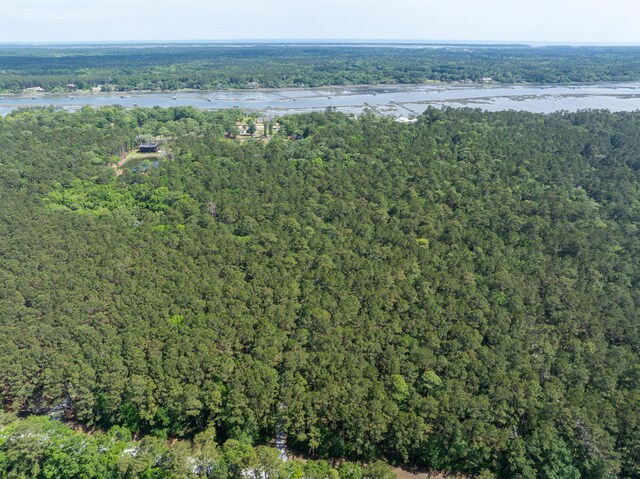 4855 Retriever Rd, Wadmalaw Island, SC 29487 - view of property location featuring a heavily wooded area and a nearby body of water