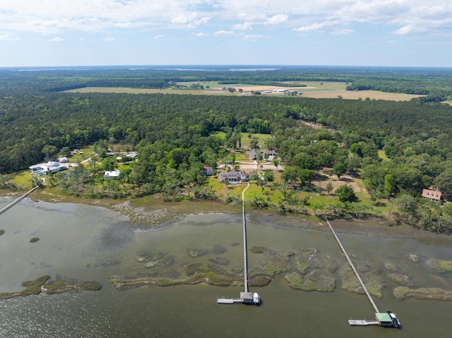 4855 Retriever Rd, Wadmalaw Island, SC 29487 - view of property location with a heavily wooded area and a large body of water
