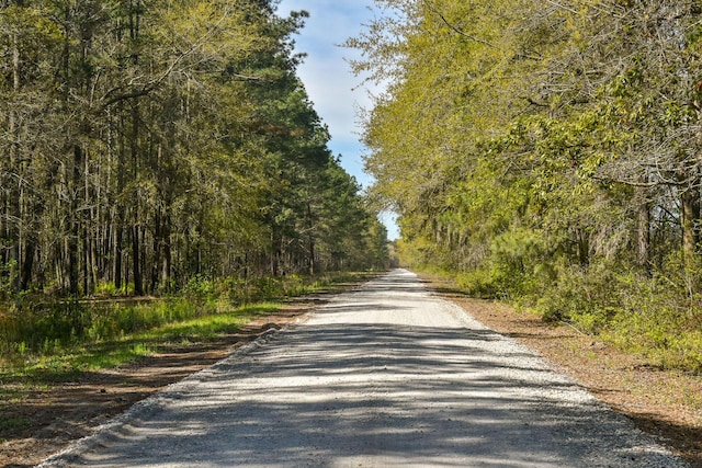 4855 Retriever Rd, Wadmalaw Island, SC 29487 - view of dirt / gravel road featuring a wooded view