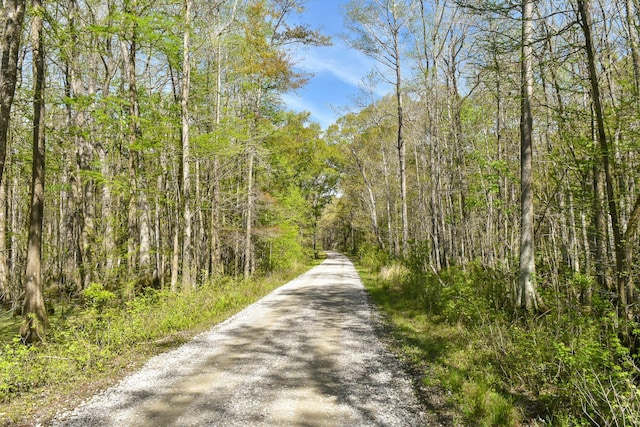 4855 Retriever Rd, Wadmalaw Island, SC 29487 - view of dirt / gravel road featuring a wooded view