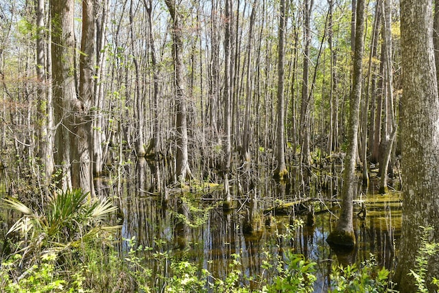 4855 Retriever Rd, Wadmalaw Island, SC 29487 - view of undeveloped land