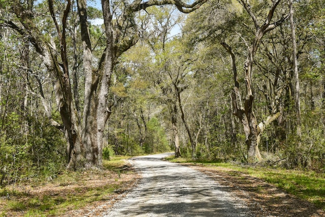 4855 Retriever Rd, Wadmalaw Island, SC 29487 - view of dirt / gravel road with a forest view
