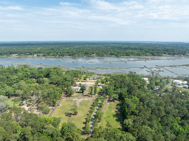4855 Retriever Rd, Wadmalaw Island, SC 29487 - aerial overview of property's location featuring a large body of water and a forest