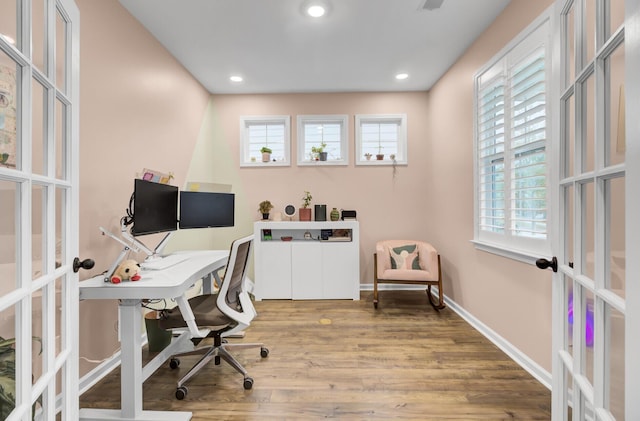 office space featuring french doors, a wealth of natural light, and wood-type flooring