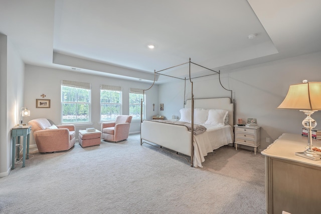 carpeted bedroom featuring a raised ceiling