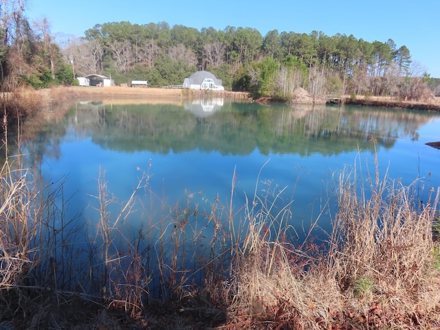 1236 Eutaw Rd, Eutawville, SC 29048 - water view featuring a view of trees