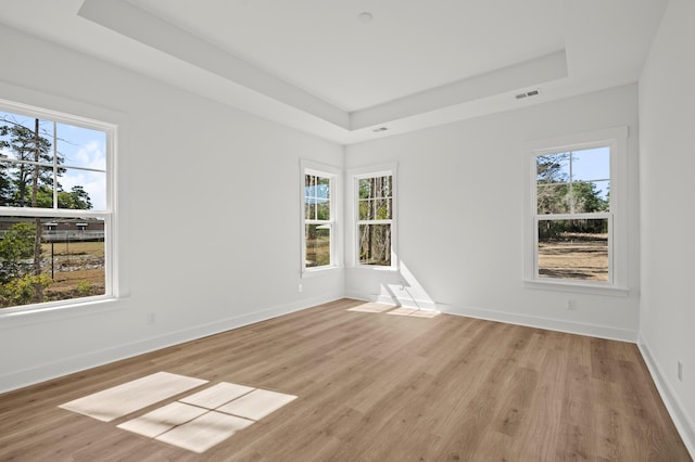 spare room featuring a tray ceiling, plenty of natural light, and baseboards