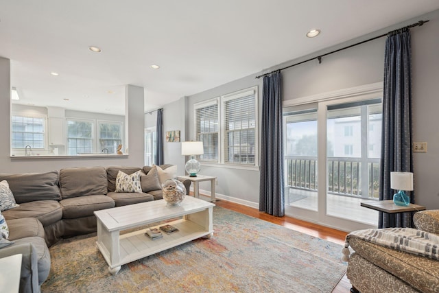 living room featuring hardwood / wood-style flooring and sink