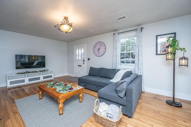 living room featuring hardwood / wood-style floors