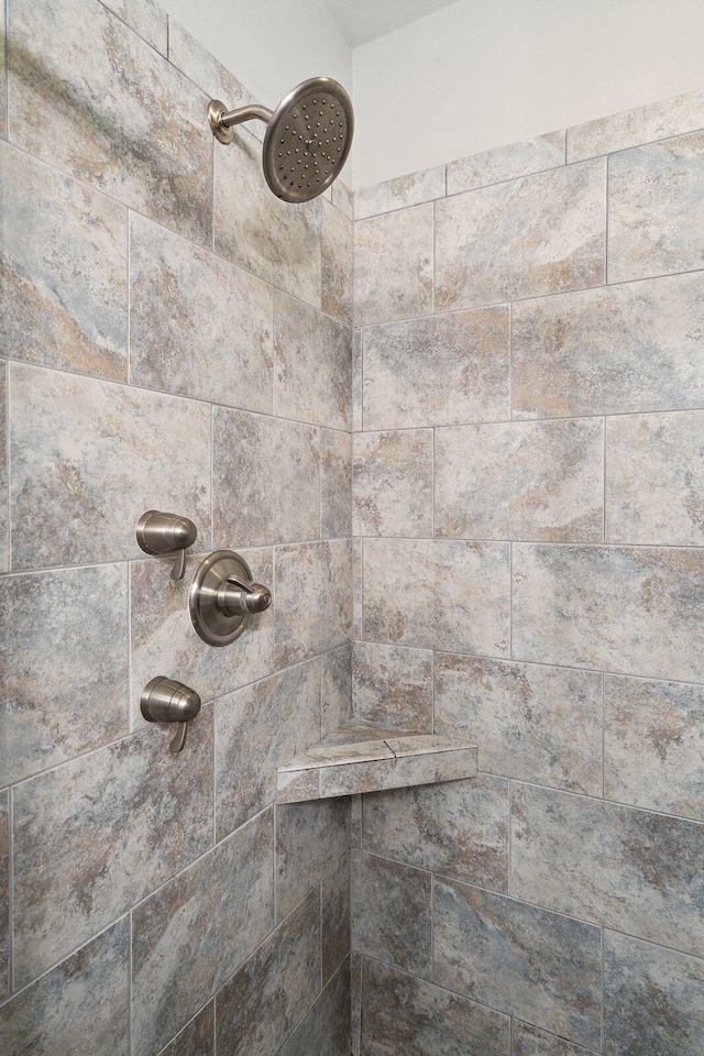 interior details featuring a tile shower