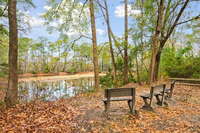 view of home's community featuring a water view