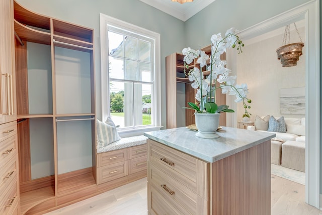 spacious closet featuring light wood-style floors