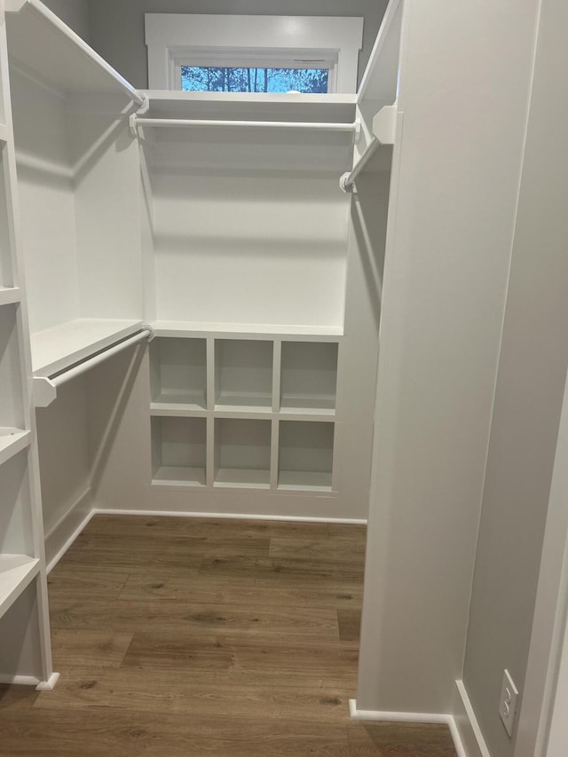 walk in closet with dark hardwood / wood-style flooring