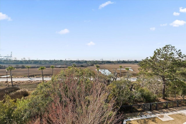 1962 Bellona St, Charleston, SC 29492 - view of yard featuring fence and a rural view