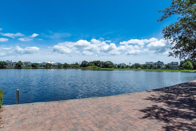 1962 Bellona St, Charleston, SC 29492 - water view