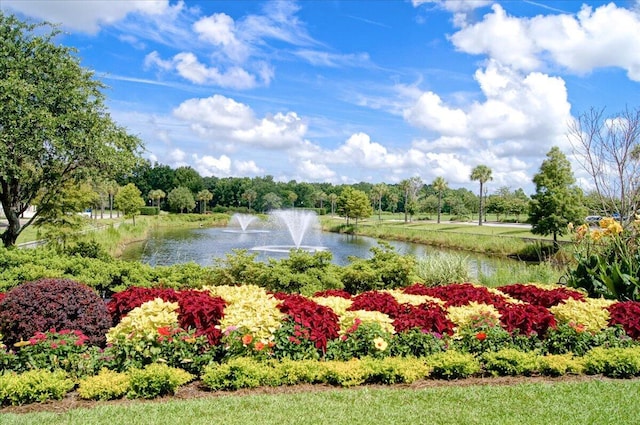 1962 Bellona St, Charleston, SC 29492 - view of community featuring a water view