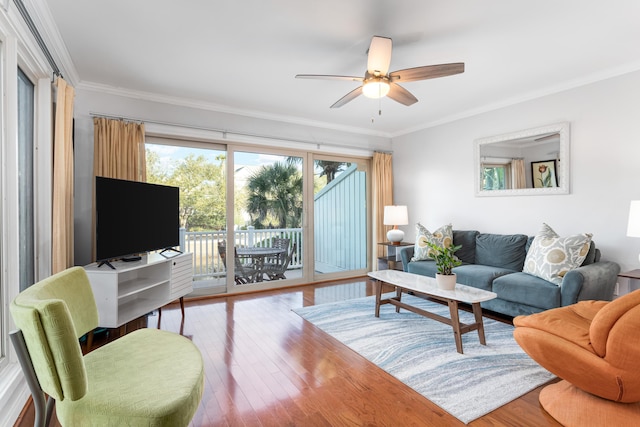 living room featuring hardwood / wood-style flooring, ceiling fan, and ornamental molding