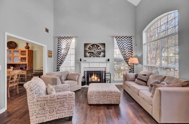 living room with dark hardwood / wood-style floors and a healthy amount of sunlight