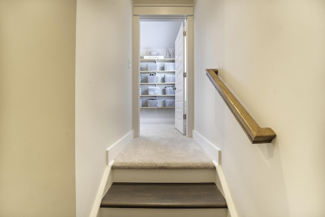 stairway with carpet and baseboards