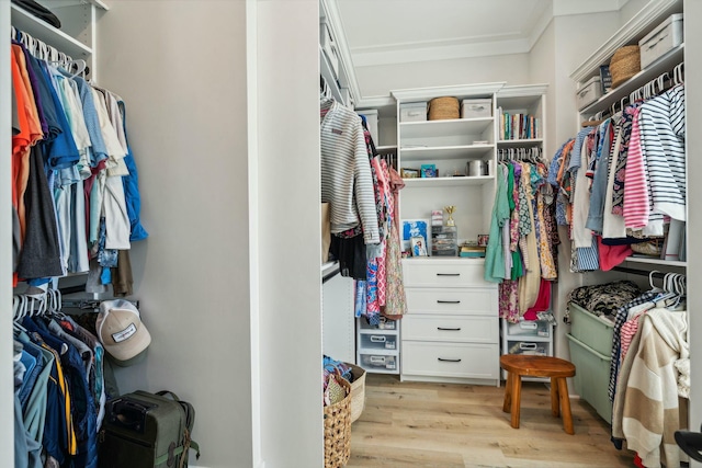 spacious closet featuring light wood-style floors