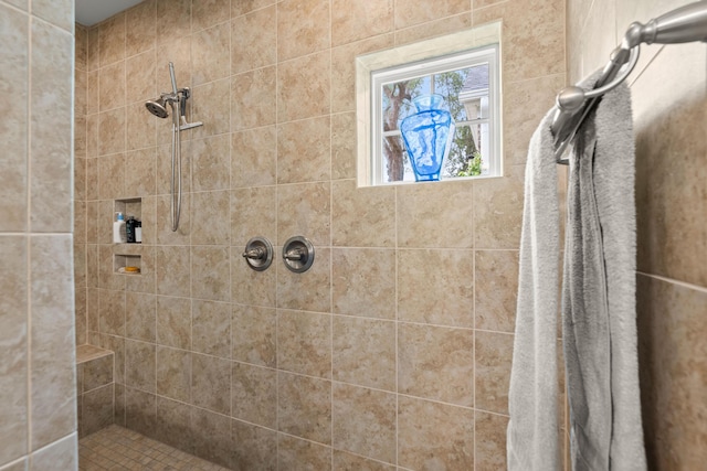 207 Brutus Ln, Summerville, SC 29485 - bathroom with a tile shower