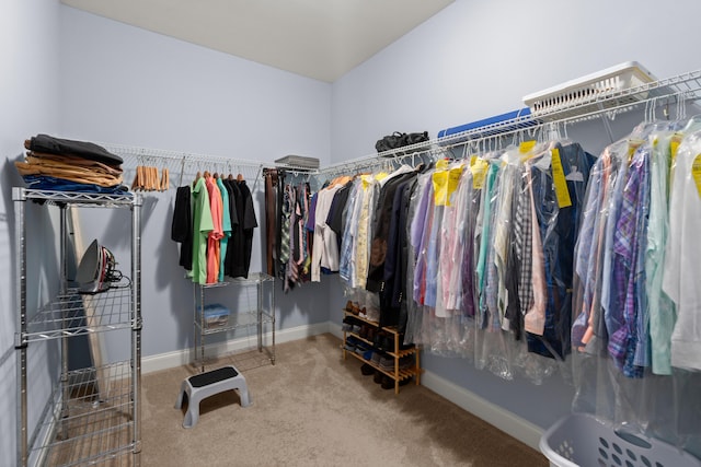 207 Brutus Ln, Summerville, SC 29485 - spacious closet with carpet floors