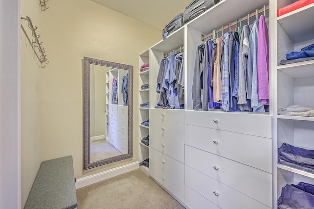 spacious closet featuring carpet