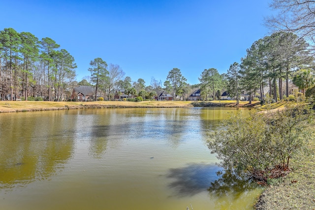 view of water feature