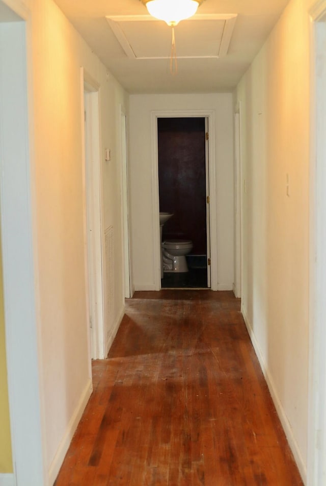 1871 Grimball Rd, Charleston, SC 29412 - hallway featuring dark wood finished floors and baseboards