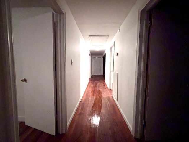 1871 Grimball Rd, Charleston, SC 29412 - corridor with wood finished floors and baseboards