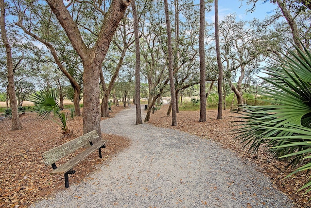 134 Etiwan Park St, Charleston, SC 29492 - view of home's community