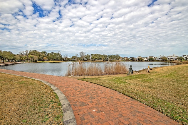 134 Etiwan Park St, Charleston, SC 29492 - water view