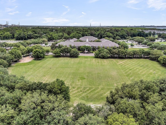 134 Etiwan Park St, Charleston, SC 29492 - bird's eye view of a tree filled landscape