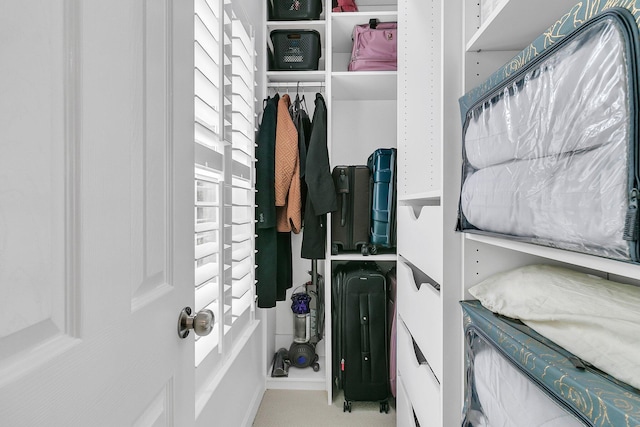 134 Etiwan Park St, Charleston, SC 29492 - view of walk in closet