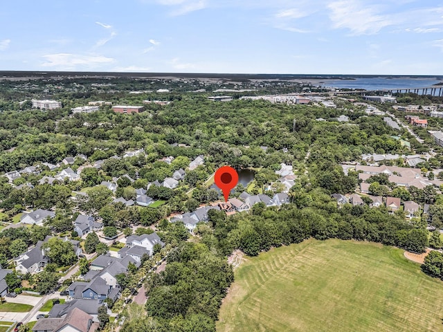 134 Etiwan Park St, Charleston, SC 29492 - aerial view of a tree filled landscape and a large body of water