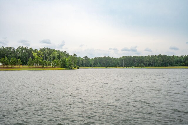 259 Camber Rd, Huger, SC 29450 - water view featuring a forest