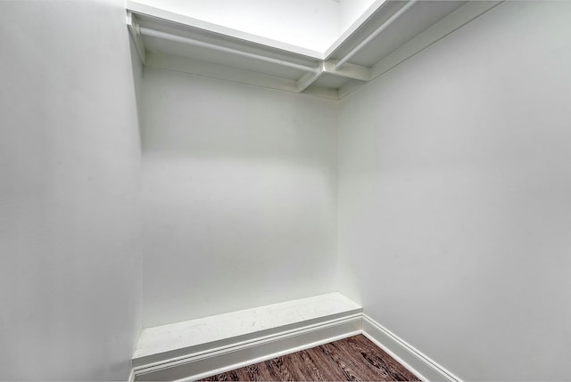 walk in closet featuring dark wood finished floors