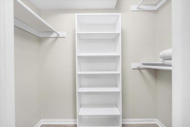 view of spacious closet