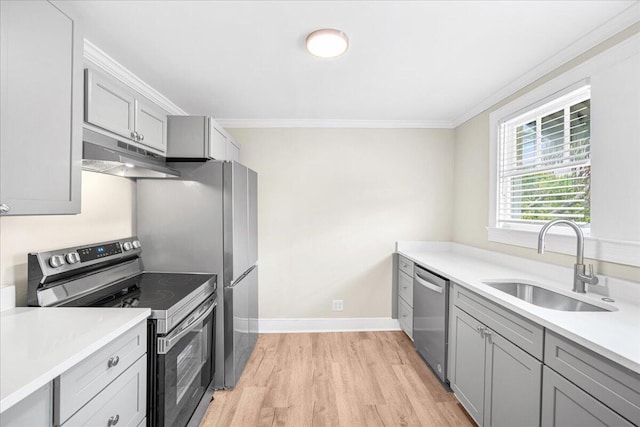 kitchen with stainless steel appliances, under cabinet range hood, a sink, gray cabinetry, and light wood finished floors