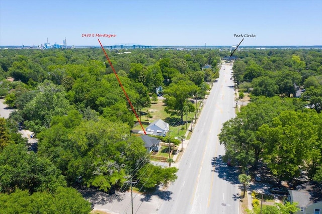 1430 E Montague Ave, North Charleston, SC 29405 - aerial view of a heavily wooded area
