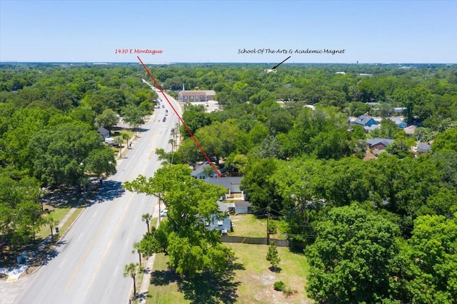 1430 E Montague Ave, North Charleston, SC 29405 - aerial view of a heavily wooded area
