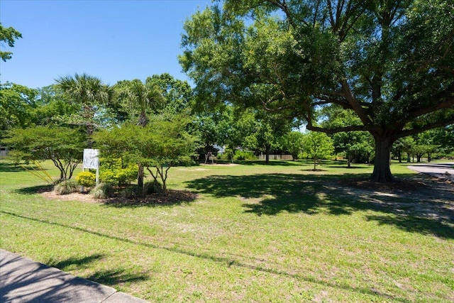 1430 E Montague Ave, North Charleston, SC 29405 - view of green lawn