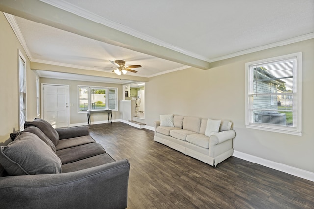 living area featuring dark wood-style flooring, baseboards, crown molding, and ceiling fan