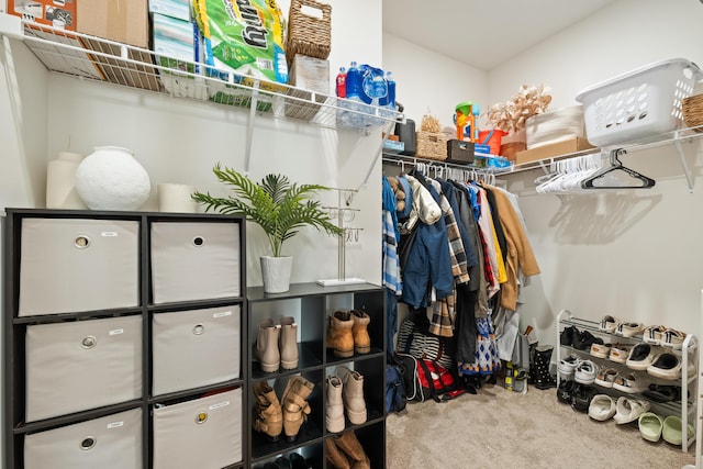 walk in closet with carpet floors