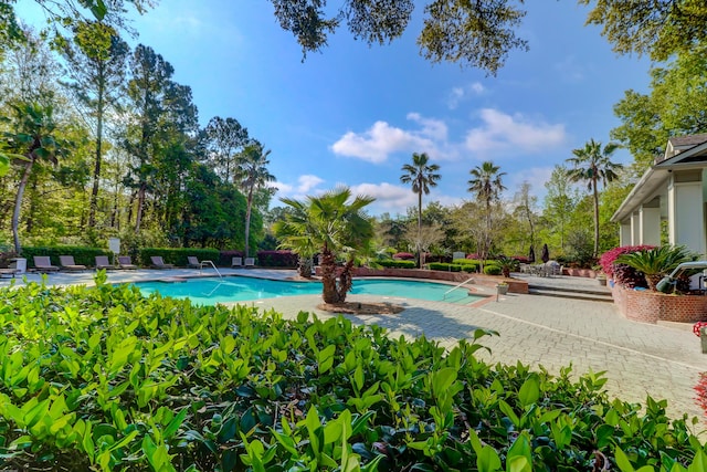 view of swimming pool featuring a patio