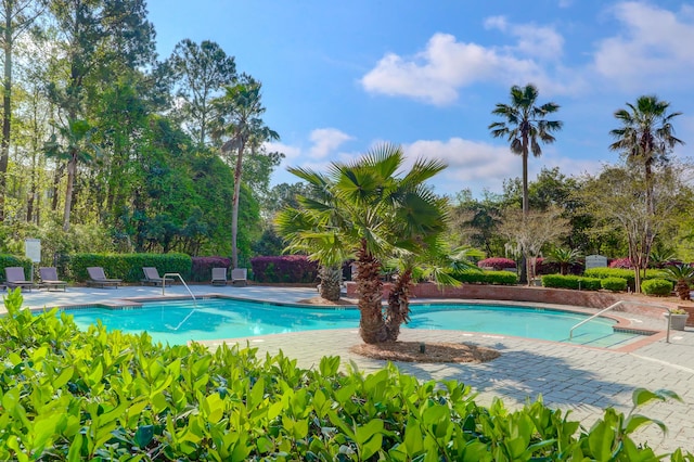 view of swimming pool featuring a patio area