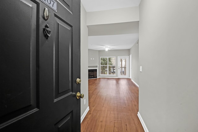 foyer featuring hardwood / wood-style flooring and ceiling fan