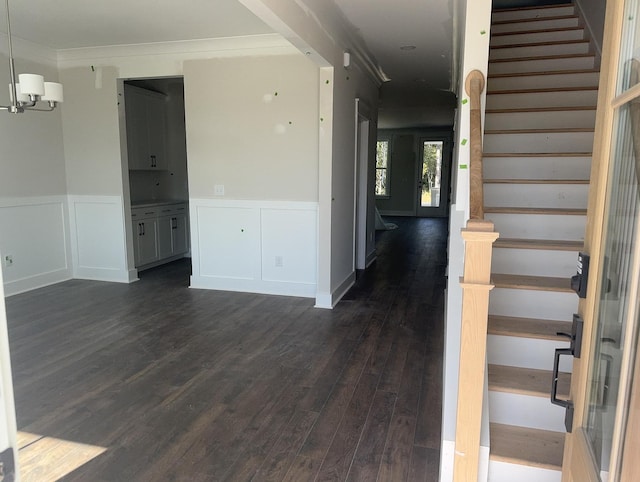 spare room featuring dark wood-type flooring and ornamental molding