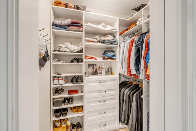 view of walk in closet