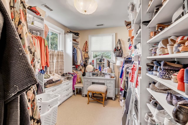 spacious closet with light carpet